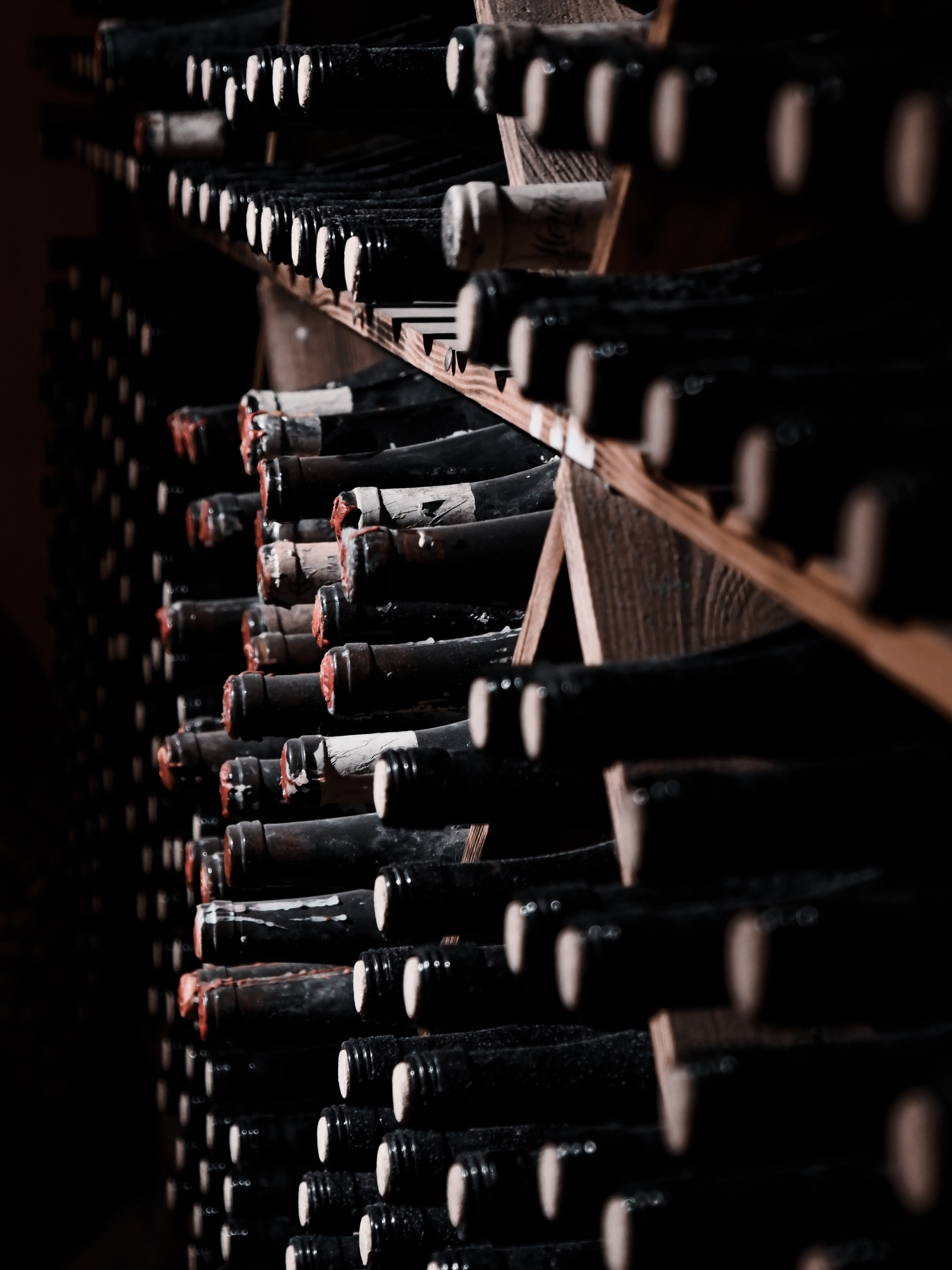 how many bottles to store in a wine cellar