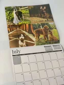 Winery Dog Calendar 2025 1